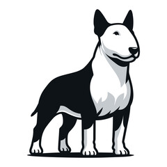 Bull terrier dog full body vector illustration, cute adorable funny pet animal, standing purebred dog concept design template isolated on white background