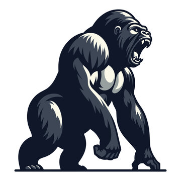 Wild angry gorilla full body design illustration, roaring strong big ape concept, primate animal zoology element illustration, vector template isolated on white background