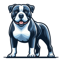 Fototapeta premium Pitbull bulldog full body vector illustration, Full-length portrait of a standing animal pet pitbull terrier dog. Design template isolated on white background
