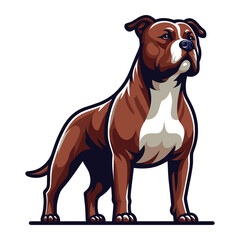 Obraz premium Pitbull bulldog full body design illustration, Full-length portrait of a standing animal pet pitbull terrier dog. Vector template isolated on white background