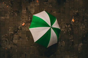 Rainy days
Green and white umbrella on the street