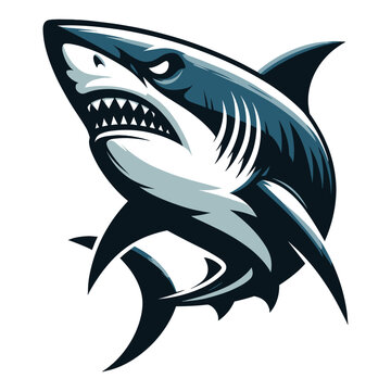 Angry wild great white shark design illustration, marine predator animal element illustration, swimming toothy shark vector template isolated on white background