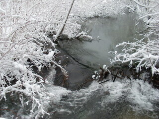 Winter am Weiher