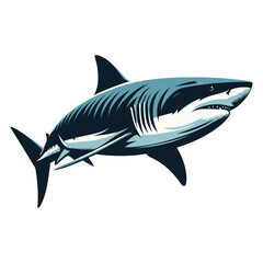 Fototapeta premium Wild great white shark design illustration, marine predator animal element illustration, swimming angry toothy shark vector template isolated on white background