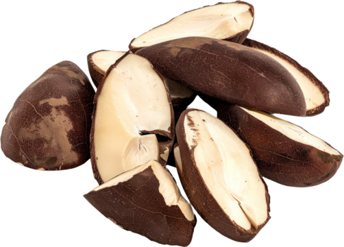 Brazil nuts whole and sliced, cut out transparent