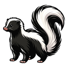 Skunk full body vector illustration, fauna animal concept, wild mammal skunk with a large fluffy tail and black white stripe along the body. Design template isolated on white background