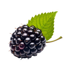 Blackberry isolated on transparent png background. Generative ai