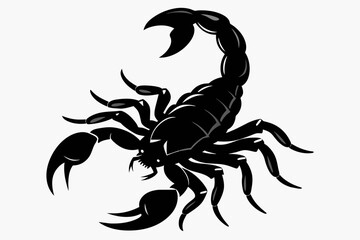 Scorpion ‍silhouette on white background