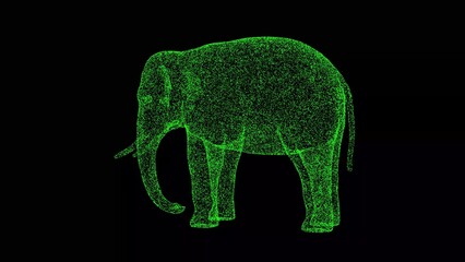 3D Elephant on black background. Wild Animals concept. Circus and Zoo. Business advertising backdrop. For title, text, presentation. 3d animation