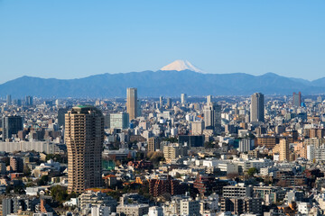東京都 東京タワーから見る快晴の東京と富士山
