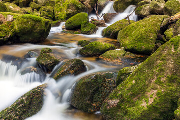 A beautiful view of a romantic stream in a wild mountain valley