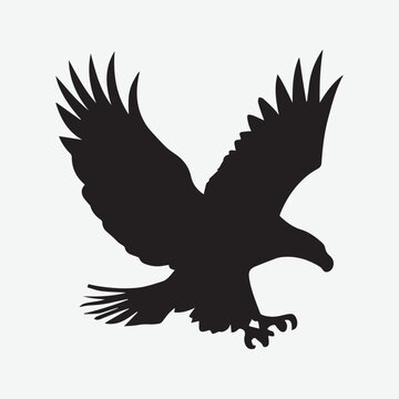 eagle bird flying vector art illustration silhouette