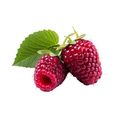 Loganberry isolated on transparent png background. Generative ai