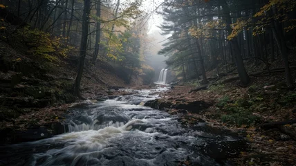 Papier Peint photo Gris 2 Waterfall flowing through a foggy autumn forest - An overcast setting with a majestic waterfall cascading through a foggy forest adorned with autumn leaves