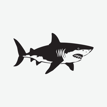 silhouette of an angry shark vector art illustration