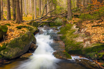 A beautiful view of a romantic stream in a wild mountain valley