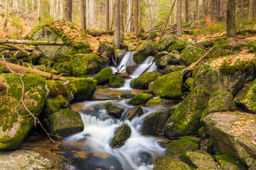 A beautiful view of a romantic stream in a wild mountain valley