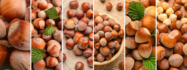 Collage with many tasty hazelnuts