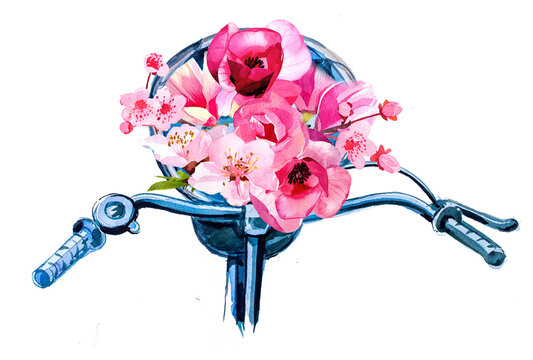 Bicycle basket with pink flower bouquet isolated on white. Watercolor cherry blossom and magnolia flowers on a bike painting.