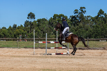 Equestrian Competition 17