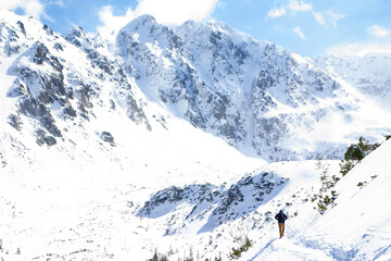 samotny wędrowiec, w tle Granaty, Orla Perć widok znad Czarnego Stawu Gąsienicowego w Tatrach zimą