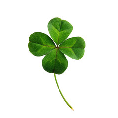Green clover leaf isolated on transparent background. - obrazy, fototapety, plakaty