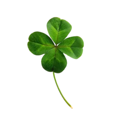 Foto op Canvas Green clover leaf isolated on transparent background. © shabbir