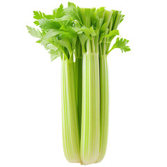 Celery isolated on white transparent background.