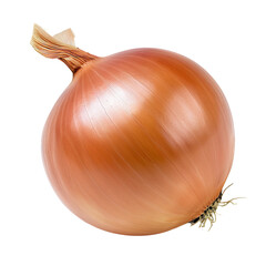 Onion isolated on white transparent background.