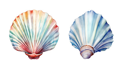 Fototapeta premium Sea ​​shell, watercolor clipart illustration with isolated background.