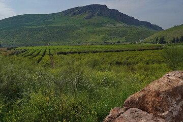 Arbel mountain by the Sea of Galilee, Israel, with agriculture fields in the foreground