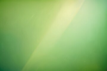 Green pastel background with sunshine glare.