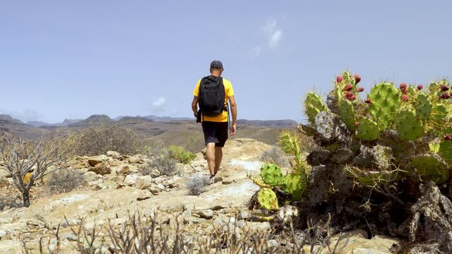 A young adult hiker walks along the trail to reach the summit of the mountains in the Canary Islands