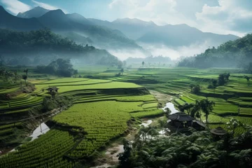 Zelfklevend Fotobehang rice plantations. fields and terraces without people. landscape. © MaskaRad