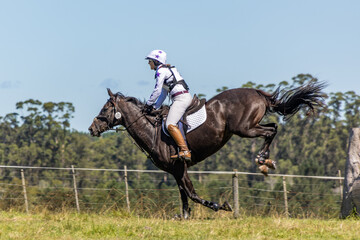 Equestrian Competition 26
