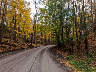 Fototapeta na wymiar Tranquility of Autumn in Ancaster Village, Hamilton, Ontario: Serene Country Road Embraces Radiant Fall Foliage, Enhanced with Subtle Motion Blur, Reflecting the Beauty of Nature's Transition.
