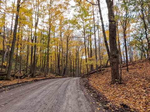 Tranquility of Autumn in Ancaster Village, Hamilton, Ontario: Serene Country Road Embraces Radiant Fall Foliage, Enhanced with Subtle Motion Blur, Reflecting the Beauty of Nature's Transition.
