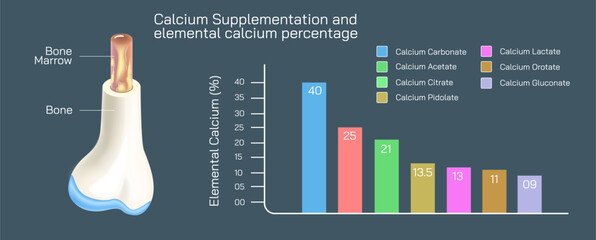 calcium supplementation and elemental calcium percentage. The forms of calcium in supplements contain varying amounts of elemental calcium vector illustration. - obrazy, fototapety, plakaty