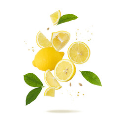 Fresh lemon fruit whole and slices with leaves and drops falling flying isolated on white