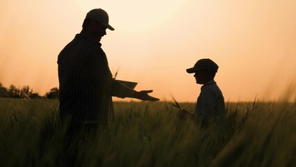 agriculture father farmer with little boy son working wheat field, child kid baby son boy helping...