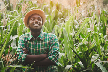 African farmer posing with smile in the corn field, agriculture and success concept