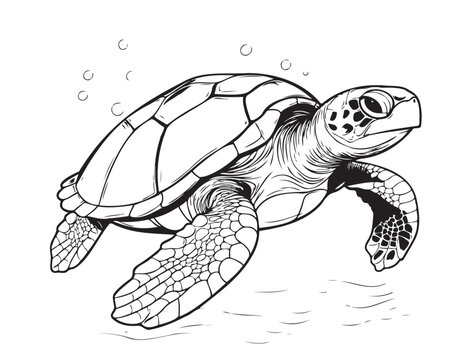 Sea turtle hand drawn engraving style sketch Underwater animals Vector illustration.