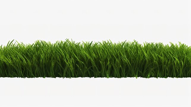Fresh Green Grass Field Isolated on Transparent Background

