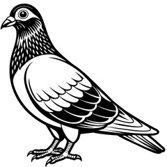 illustration of a pigeon silhouette vector art Illustration