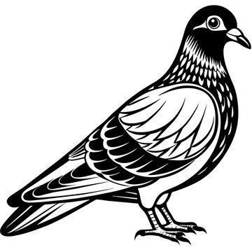 black and white pigeon standing profile clip art preview
