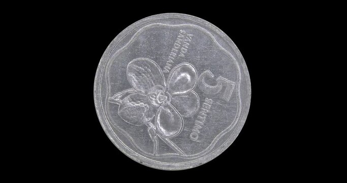 Obverse of Philippines coin 5 sentimo 1989, isolated in black background. Seamless animation in 4k resolution video.
