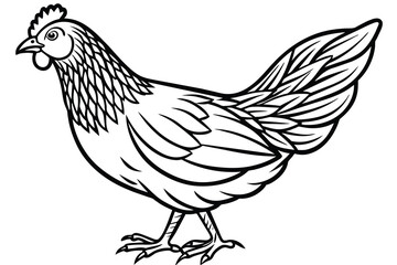Fototapeta na wymiar simple chicken illustration design line art illustration vector