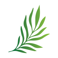 Leaves of tropical trees, ferns, exotic leaves, stamp, leaf shape, leaf stencils, color gradient, element, bright sticker, design with graphic symbols of the logo, the ability to change color and size