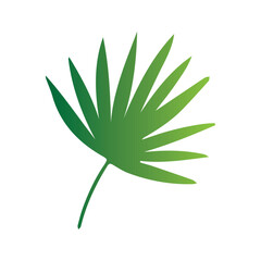 Leaves of tropical trees, ferns, exotic leaves, stamp, leaf shape, leaf stencils, color gradient, element, bright sticker, design with graphic symbols of the logo, the ability to change color and size