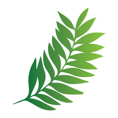 Leaves of tropical trees, ferns, exotic leaves, stamp, leaf shape, leaf stencils, color gradient, element, bright sticker, design with graphic symbols of the logo, the ability to change color and size
